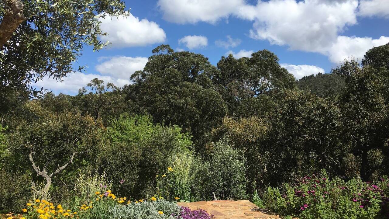 Garden and valley views