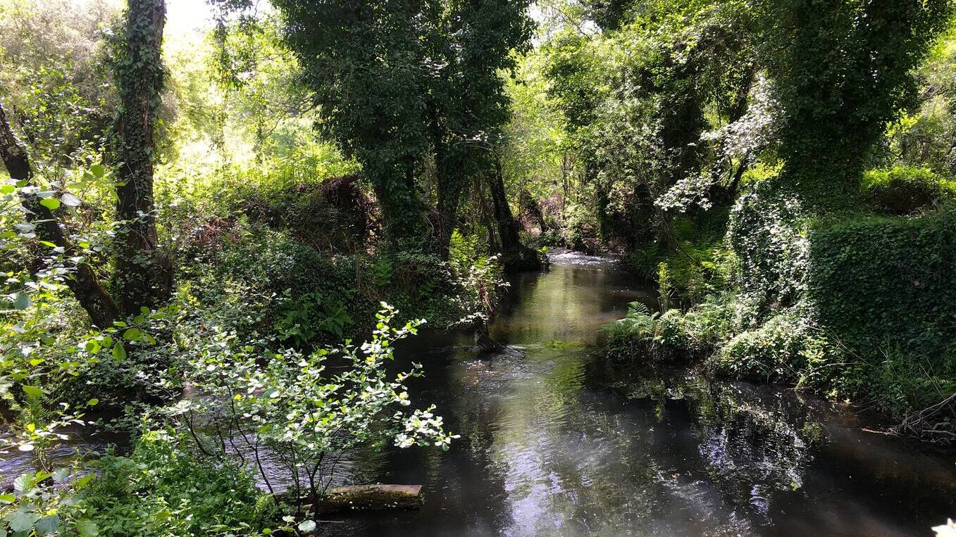 Private river through woodland